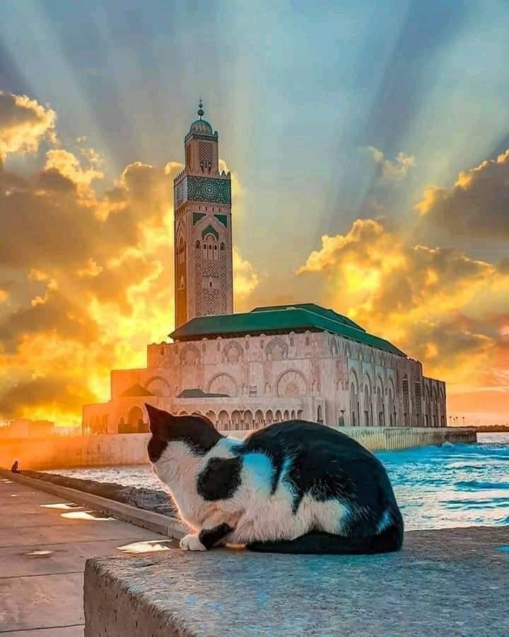 casablanca Morocco